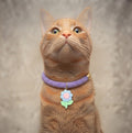 Collar Gato Brillos con Dije